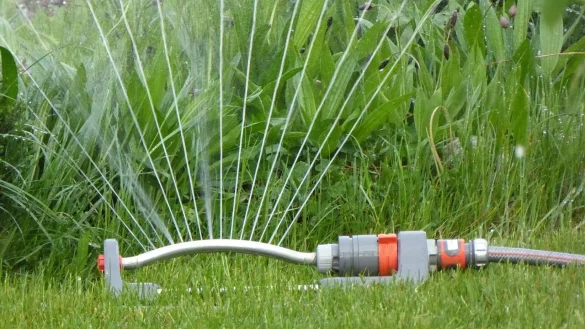 Auf das Sprengen der G&auml;rten sollte verzichtet werden. - &copy; Esther Merbt / pixabay