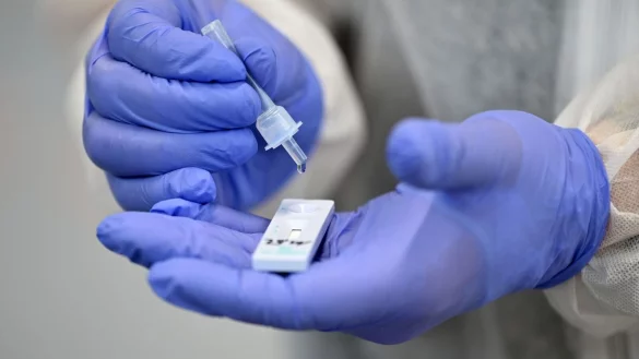 - &copy; Martin Schutt/dpa-Zentralbild/dpa