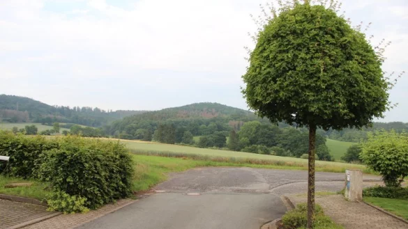 Am Ende der Wohnsiedlung "Saulsiek" ist von Baugebiet noch nichts in Sicht. Geht es nach der CDU und SPD, soll sich das schnell &auml;ndern. Im Betriebsausschuss wurde dem stattgegeben. - &copy; Kirsten Fuhrmann