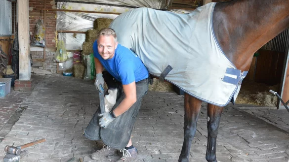 Handwerk: Hufschmied Glen Pinxteren hat sich in Belgien eine ganz spezielle Beschlagstechnik f&uuml;r die Hinterhufe angeeignet: Er schiebt sich unter das Pferd und - &copy; Tanja Watermann