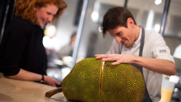 Jackfrucht - &copy; Foto: Monika Skolimowska