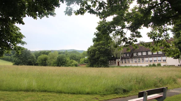 Diese Wiese m&ouml;chte die Stadt Lage erwerben. Darauf entstehen k&ouml;nnte ein Kleinspielfeld, eine Erweiterung des Feuerwehrger&auml;tehauses und ein neues &bdquo;Haus des Gastes". - &copy; Karolina Schmidt
