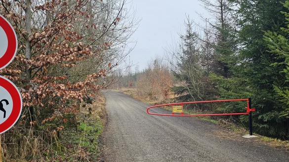 Der Weg zu Bienenschmidt ist derzeit für Fahrzeuge gesperrt. Der Eigentümer hat das gemacht, weil es immer mehr Verkehr im Wald gab - auch wenn die Waldgaststätte derzeit wegen Sanierung geschlossen ist. - © Astrid Sewing