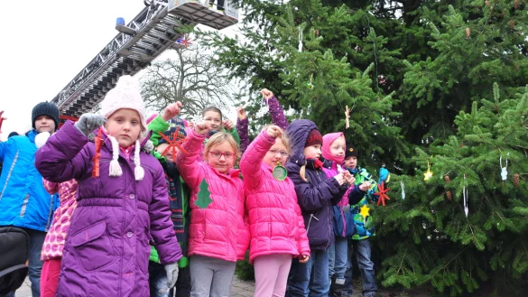 Kreative Kinder: Jungen und M&auml;dchen der Offenen Ganztagsgrundschule, des
evangelischen Familienzentrums und der AWO-Kita Helpup haben gebastelt.
Mit ihren Sternen, Tannenb&auml;umen und Schneekristallen haben sie den
Tannenbaum auf dem Karlplatz geschm&uuml;ckt - &copy; Karin Prignitz
