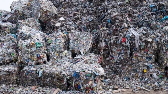 Von Menschen produzierte Masse &uuml;bersteigt weltweite Biomasse - &copy; Foto: Bernd von Jutrczenka/dpa