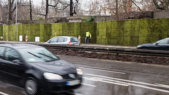 Mooswand gegen Feinstaub - &copy; Foto: Lino Mirgeler