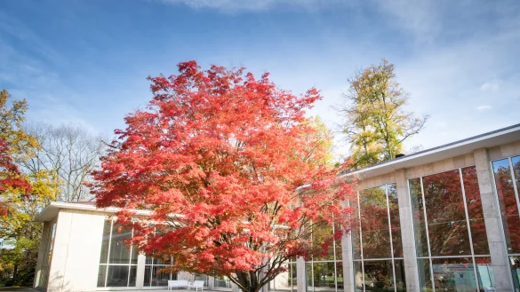 Wandelhalle. - &copy; Torben Gocke