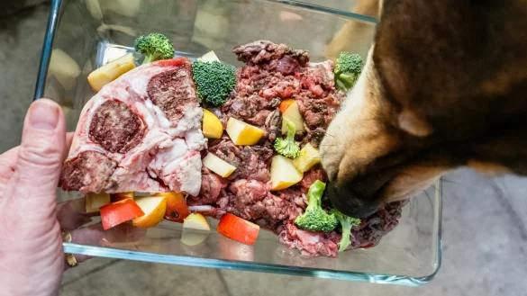 Barf besteht aus rohem Fleisch, Innereien, Knorpelfleisch, Knochen, Obst und Gemüse. - © dpa-tmn