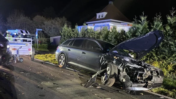 Acht Menschen wurden bei dem Unfall verletzt. - &copy; Freiwillige Feuerwehr Lage