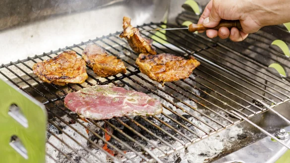 Angrillen im Fr&uuml;hling - &copy; Foto: Monique W&uuml;stenhagen