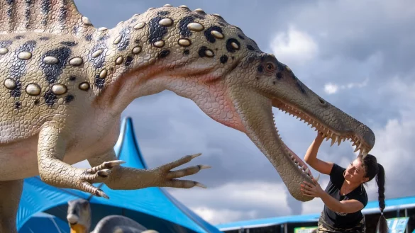 Dino-Ausstellung - &copy; Foto: Hendrik Schmidt/dpa-Zentralbild/dpa