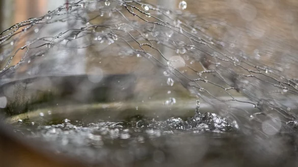 Regentonne im Garten - &copy; Foto: Franziska Gabbert/dpa-tmn