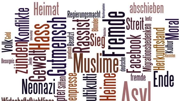 Bausatz:Die LZ hat aus einer uns zugesandten sogenannten Hassmail die am h&auml;ufigsten genannten W&ouml;rter von dem Programm Wordle bearbeiten lassen. Kaum einer dieser Begriffe hat f&uuml;r sich einen fremdenfeindlichen Bezug. Gemeinsam tauchen sich aber immer wieder in rechtspopulistischen sowie rechtsextremen Schriften und &Auml;u&szlig;erungen auf. 
- &copy; Kollage: Wordle