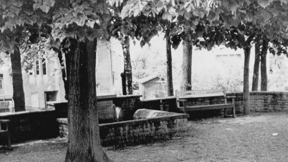 Unter der alten S&auml;ngerlinde standen B&auml;nke und ein Springbrunnen (ca. 1965). - &copy; Wulf Daneyko