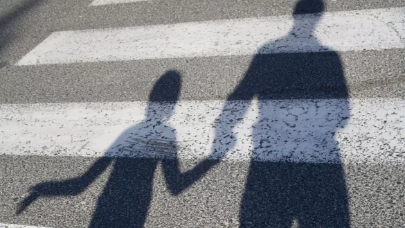 Die Grünen wünschen sich einen Zebrastreifen für mehr Verkehrssicherheit vor dem Engelbert-Kaempfer-Gymnasium. - © Symbolfoto: Jozef Sedmák / Shotshop