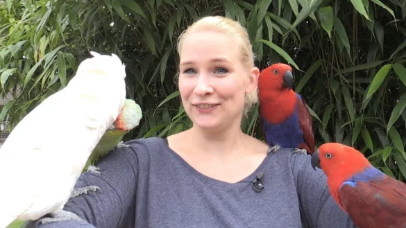 Unter V&ouml;geln: Carolin Brokmann im Vogelpark Heiligenkirchen. - &copy; Laurent Ohmansiek