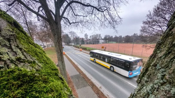 Im erweiterten Bereich des Sportplatzes an der Realschule I werden einige B&auml;ume f&uuml;r den geplanten Parkplatzbau gef&auml;llt. Allerdings werden auch neue wieder angepflanzt. - &copy; Torben Gocke
