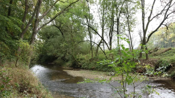 Hier grenzt das Naturschutzgebiet Holzhauser Bruch an. - &copy; Birgit Guhlke