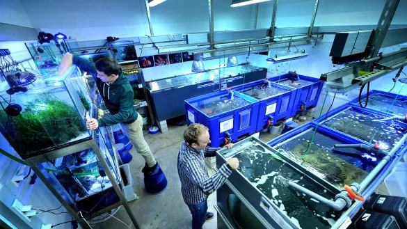 Hier werden die Tiere an der Universit&auml;t Bielefeld versorgt. - &copy; Andreas Fruecht