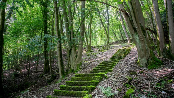 Einst stapften hier Zehntausende Besucher die Stufen hoch. Heute erinnern lediglich mit Moos überzogene Stufen an den Märchenwald Berlebeck. - © Torben Gocke