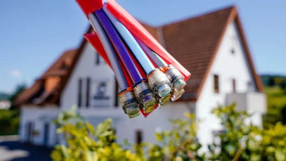 - &copy; Uwe Anspach/dpa/dpa-tmn