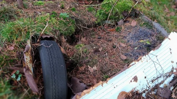 - &copy; Yvonne Glandien