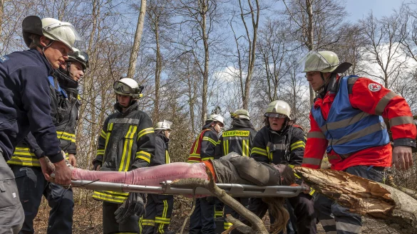 Wechselnde Lage: Zur Großübung lippischer Feuerwehren, Stäbe und Hilfsorganisationen ändert sich die Situation beinahe minütlich.  - © Torben Gocke