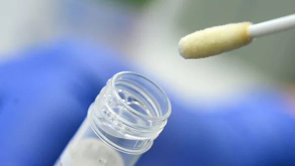 Corona-Testst&auml;bchen - &copy; Foto: Sebastian Gollnow/dpa