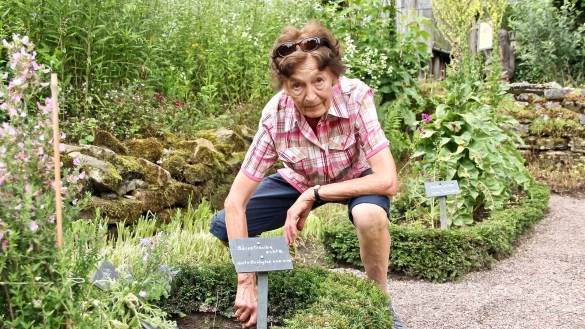 Gisela Renelt von der Kr&auml;utergruppe des UWZ traut ihren Augen nicht. Wo sie mit gro&szlig;er Sorgfalt vor vier Jahren echte B&auml;rentraube ins Beet gepflanzt hat, herrscht nun g&auml;hnende Leere. - &copy; Heidi Stork