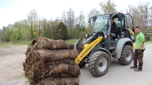Jonas K&uuml;ster im Radlader und Luca Haase bringen die Vegetationsmatten ans Ufer der Bega. - &copy; Nadine Uphoff