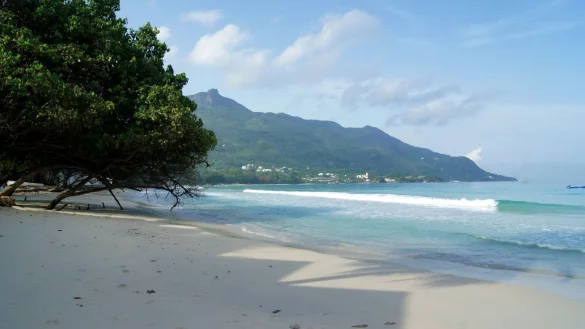 Strand auf den Seychellen - &copy; Foto: picture alliance / dpa