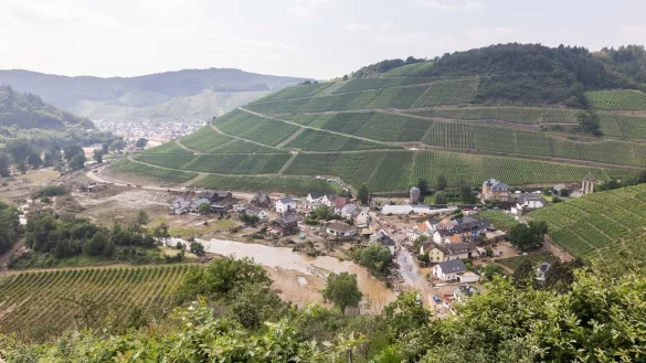Weinbau - &copy; Foto: Philipp von Ditfurth/dpa