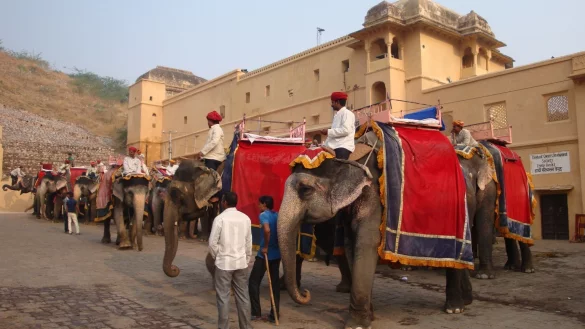 Infektionsrisiko beim Reiten Elefanten - &copy; Foto: Simone A. Mayer
