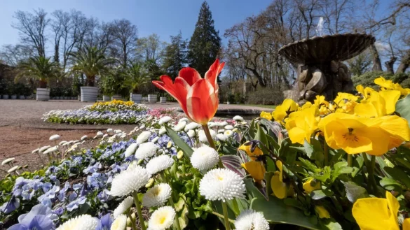 Au&szlig;enstandorte der BUGA - &copy; Foto: Michael Reichel/dpa