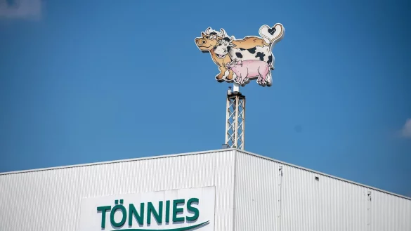 T&ouml;nnies - &copy; Foto: Guido Kirchner/dpa