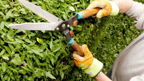 F&uuml;nfprozentige Neigung - &copy; Foto: Kai Remmers/dpa-tmn