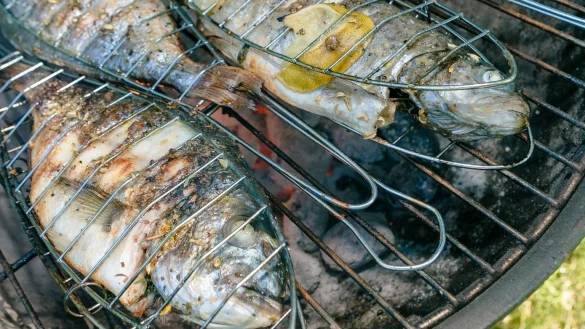 Gegrillter Fisch - &copy; Foto: Markus Scholz/dpa-tmn