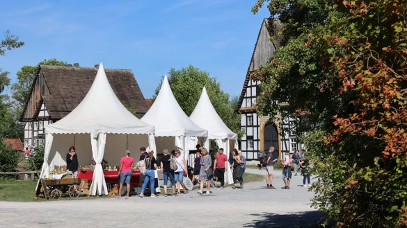 Die Flaniermeile des Museums erstreckt sich bis in das Paderborner Dorf. - &copy; LWL/Gerstendorf-Welle