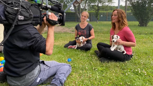 Vox-Moderatorin Kate Kitchenham (rechts) und Z&uuml;chterin Petra Hagemeier nutzen die TV-Sendung HundKatzeMaus, um &uuml;ber Wesen und Bed&uuml;rfnisse von Jack-Russell-Terriern aufzukl&auml;ren. - &copy; Maic Horstmann