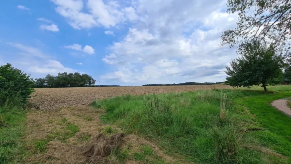 Auf diesem Feld soll das neue Baugebiet entstehen. - &copy; Nadine Uphoff
