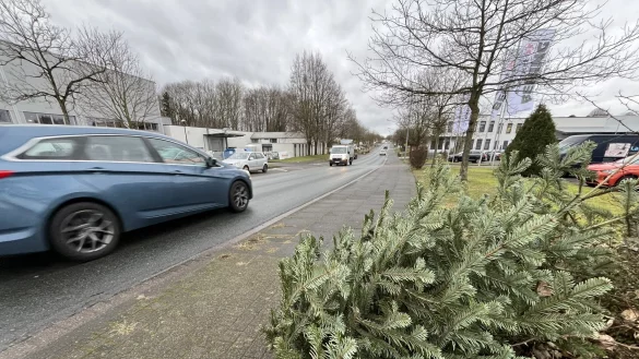Einen Monat nach dem vergangenen Weihnachtsfest lagen in Detmold an vielen Stellen immer noch Weihnachtsbäume an der Straße. Auch im Ortsteil Jerxen-Orbke waren noch welche zu finden. - © Archivfoto: Till Brand