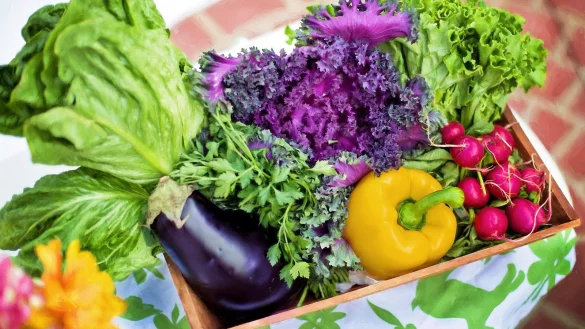 - © Symbolbild: Pixabay