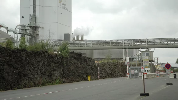 Best&uuml;rzende Entwicklung: Bis Ende 2020 will Glunz am Standort Horn die Produktion schlie&szlig;en. Dann w&uuml;rde kein Schornstein mehr qualmen. - &copy; Manfred Brinkmeier