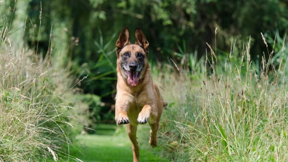 - &copy; Symbolbild: Pixabay.com