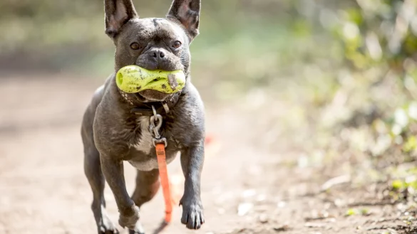 - &copy; Symbolfoto: Christin Klose/dpa-tmn