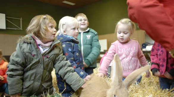 Die Kaninchen sehen es gelassen: In der Mehrzweckhalle mussten sie f&uuml;r die eine oder andere Streicheleinheit herhalten. - &copy; Alexandra Schaller