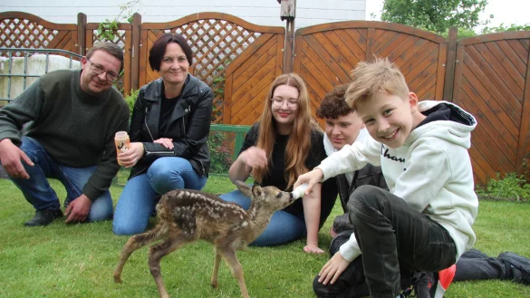 Das Rehkitz Sissi ist etwa zwei Wochen alt, seine Mama hat es verloren, doch es hat guten Ersatz gefunden. Von Ingo Rhiemeier (von links) sowie Nicole, Emma Jo, Marlon und Sam Stock, einer befreundeten Familie, wird es liebevoll aufgep&auml;ppelt -mit Lammmilch aus dem Fl&auml;schchen. - &copy; Katrin Kantelberg