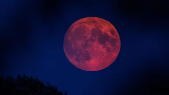 Der Mond strahlt w&auml;hrend der totalen Mondfinsternis &uuml;ber OWL in leuchtendem Rot am Nachthimmel. - &copy; picture alliance/dpa