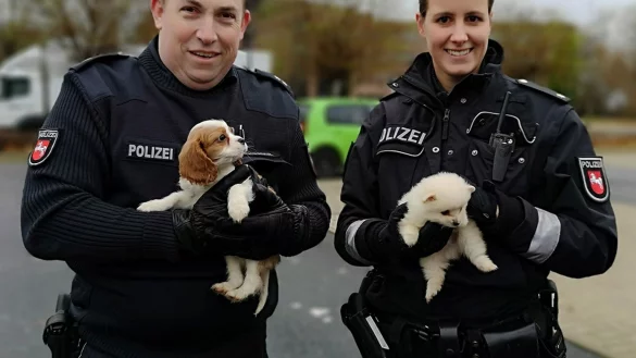 Hundewelpen gerettet - &copy; Foto: Moritz Ahrens/Polizeidirektion Hannover/dpa