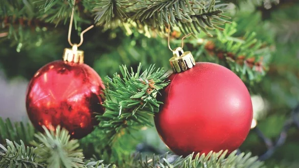 Ist der Schmuck vom Baum entfernt, kann er zur Abholung bereit gelegt werden. - &copy; Pixabay